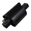ICM-61_1.jpg