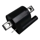 ICM-61_2.jpg