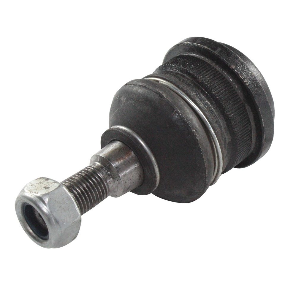 MR1006006_2.jpg