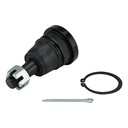 MR1016006_1.jpg
