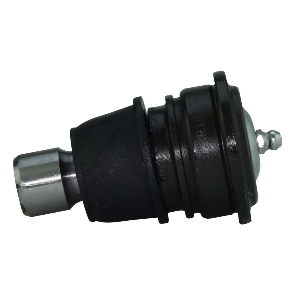 MR1016007_2.jpg