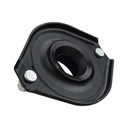 MR2503039_2.jpg
