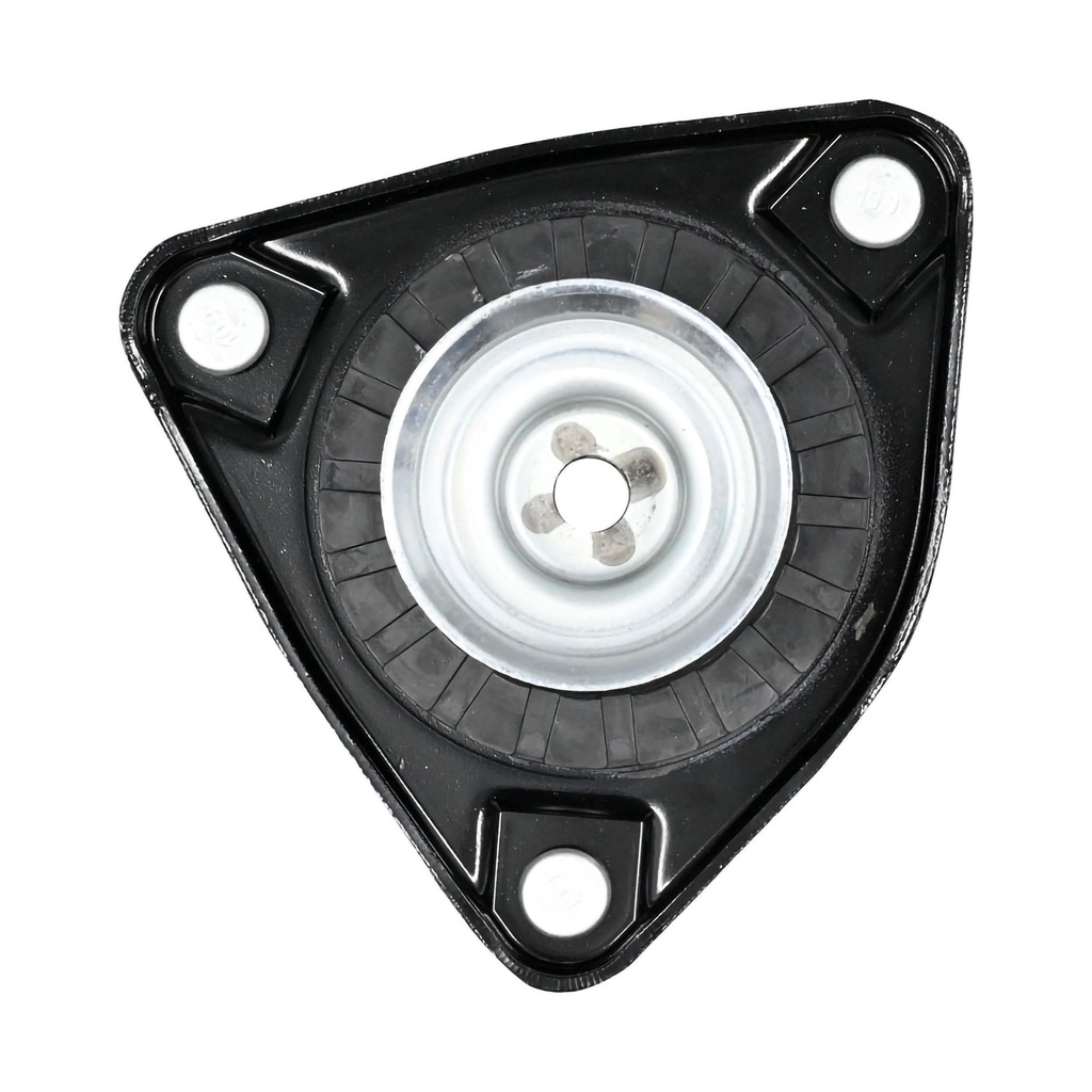 MR2505005_2.jpg