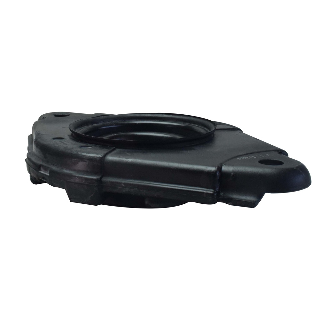 MR2516006_2.jpg