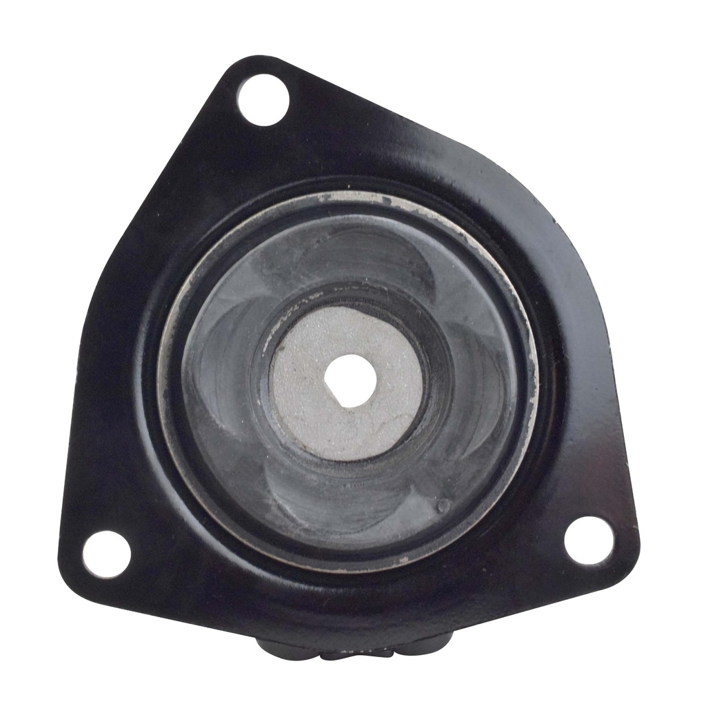 MR2516009_1.jpg