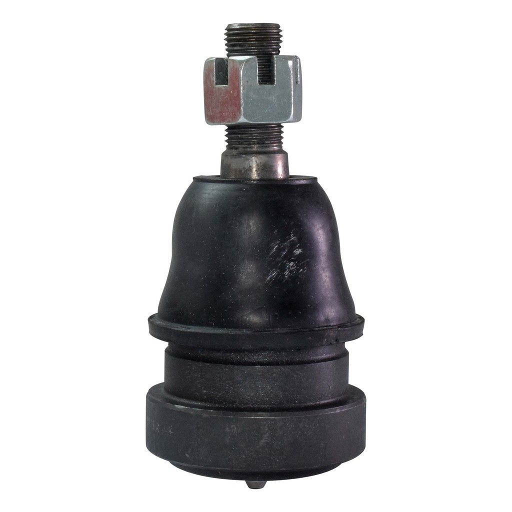 MRK-8259_1.jpg