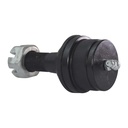 MRK-8388_2.jpg