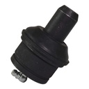 MRK-8432_1.jpg
