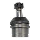 MRK-8547_2.jpg