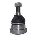 MRK-8749_1.jpg