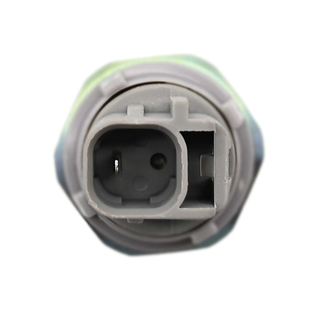 PS386_2.jpg
