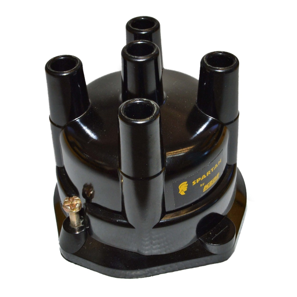 TD-20_1.jpg