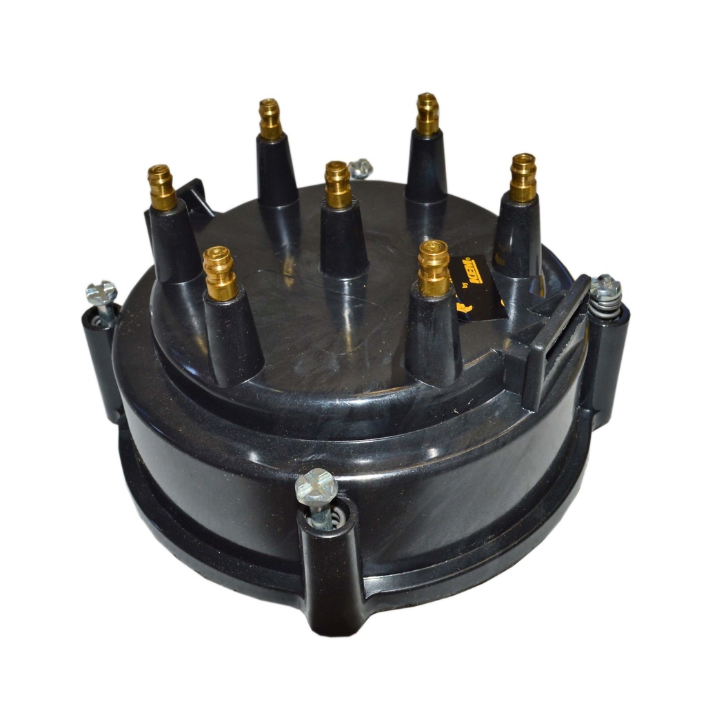 TD-25_1.jpg