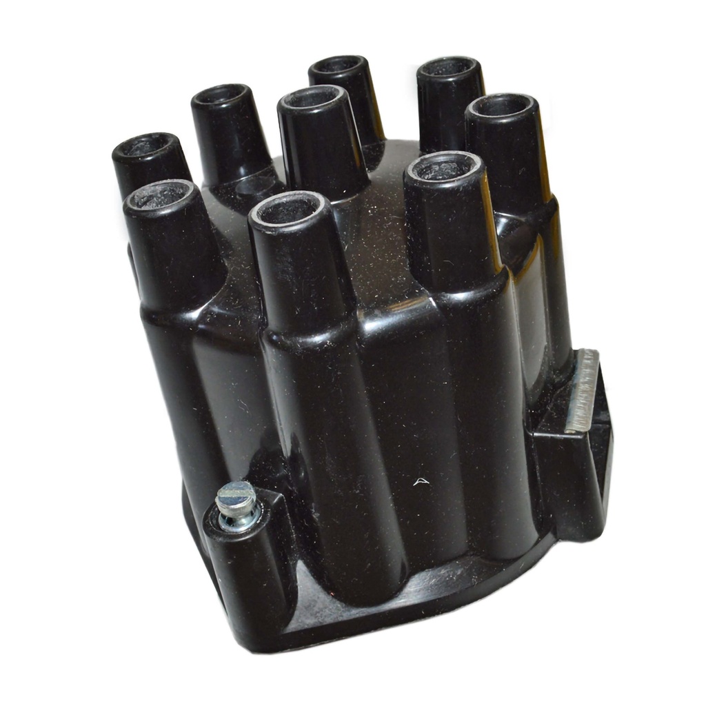 TD-29_1.jpg