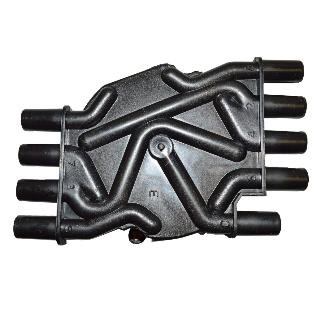 TD-36_2.jpg