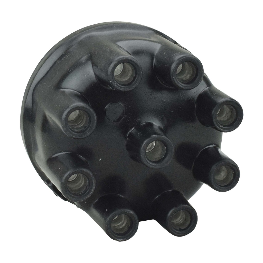 TF-42_2.jpg