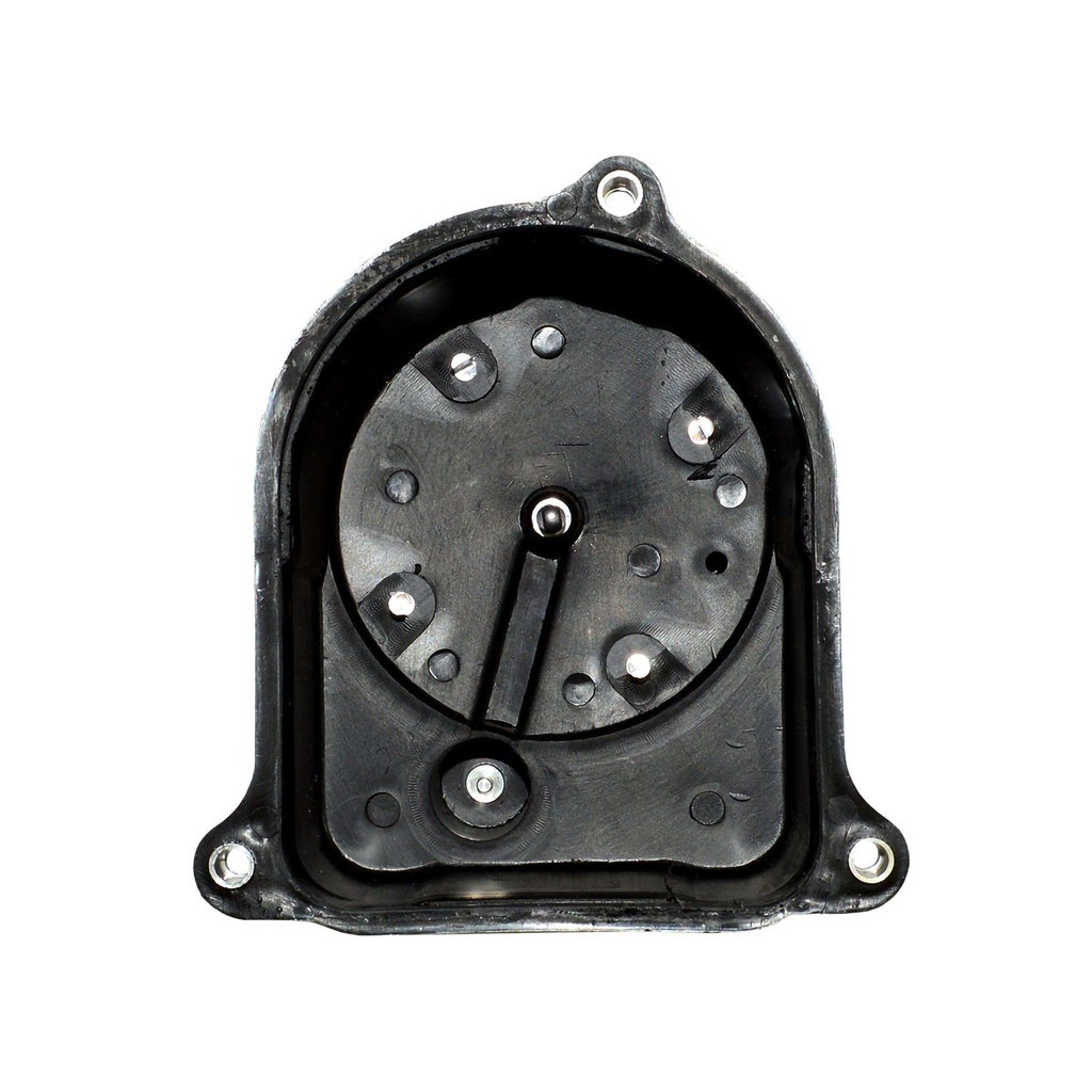 THA-119_2.jpg
