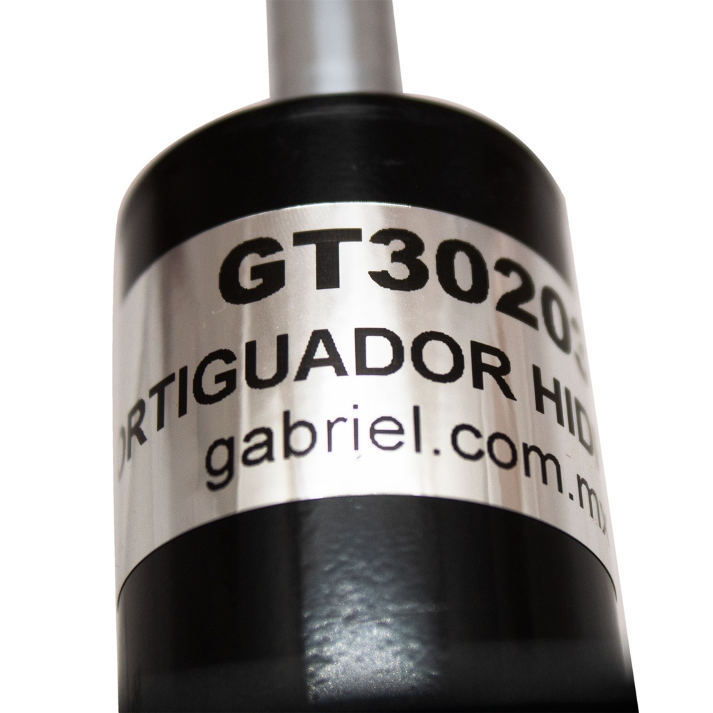 GT30203_5.jpg