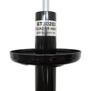 GT30203_5.JPG