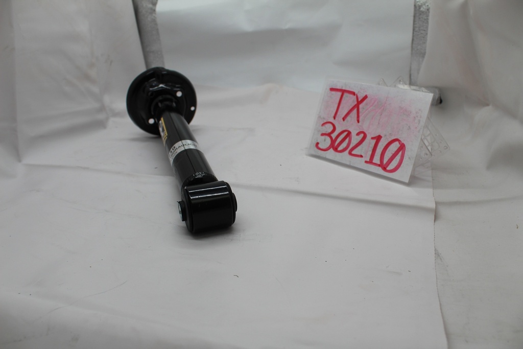 TX30210_3.JPG