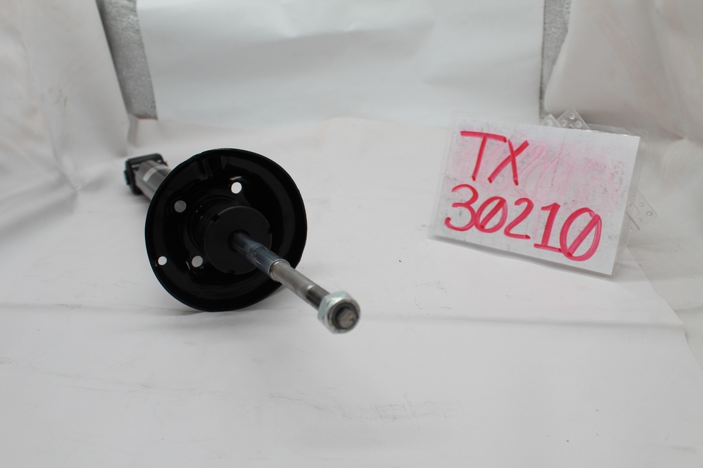 TX30210_4.JPG