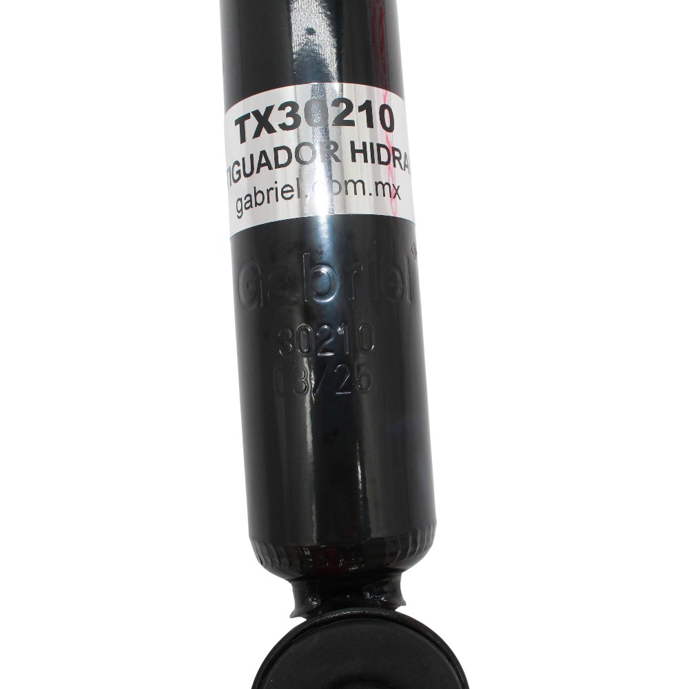 TX30210_5.JPG