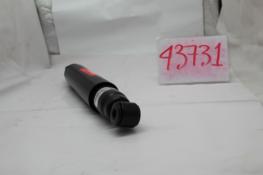 43731_3.JPG
