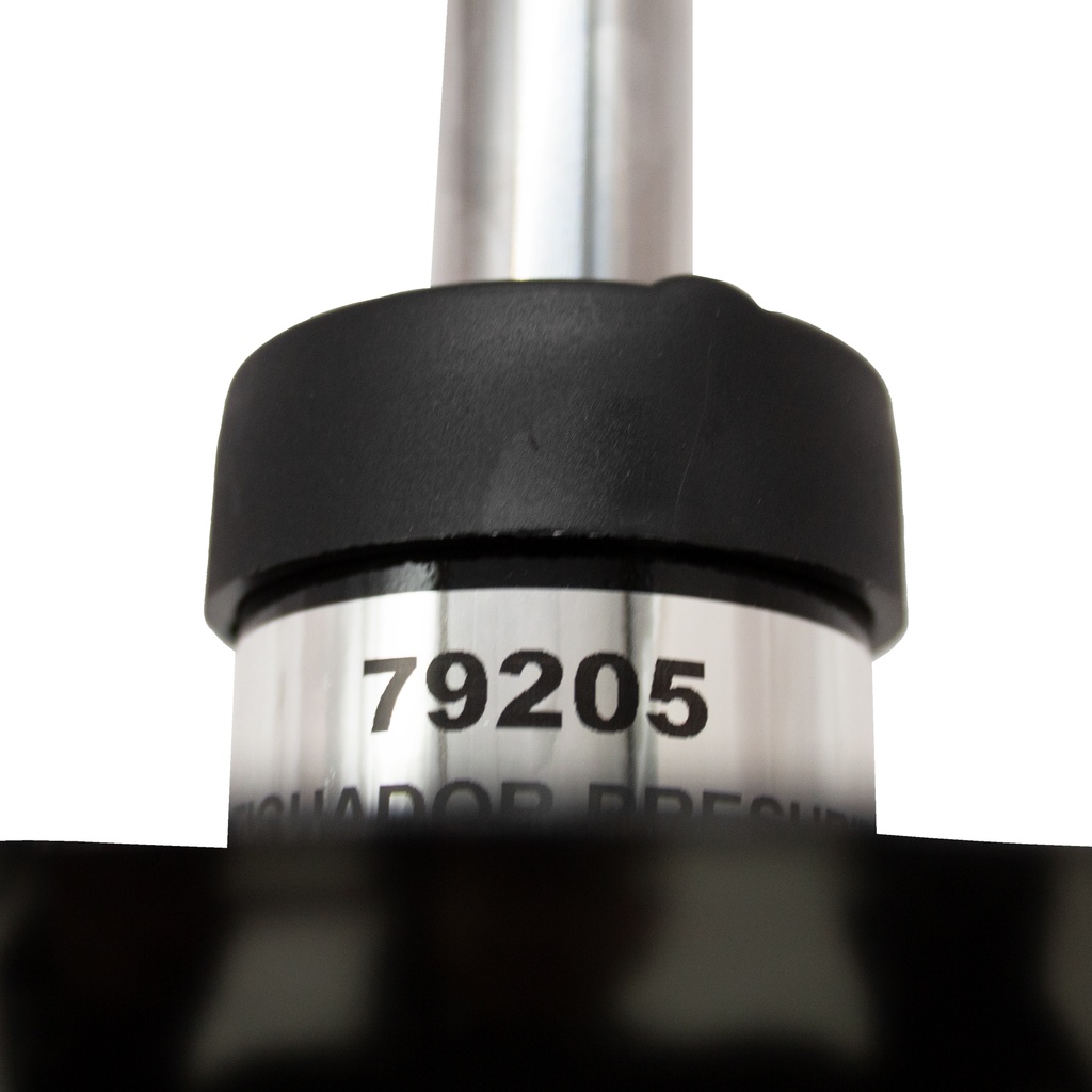 79205_5.jpg