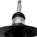 USA79285R_6(1).jpg