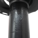USA79187_5.jpg
