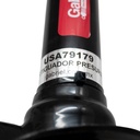 USA79179_5(1).jpg