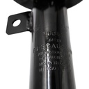 79061_6.jpg