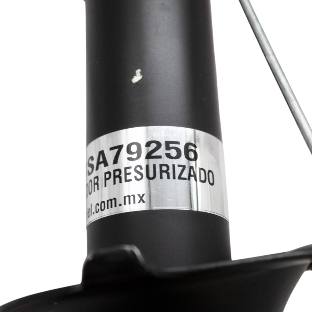 USA79256_5(1).jpg
