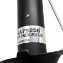 USA79256_5(1).jpg