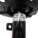 USA79379R-A_5(1).JPG