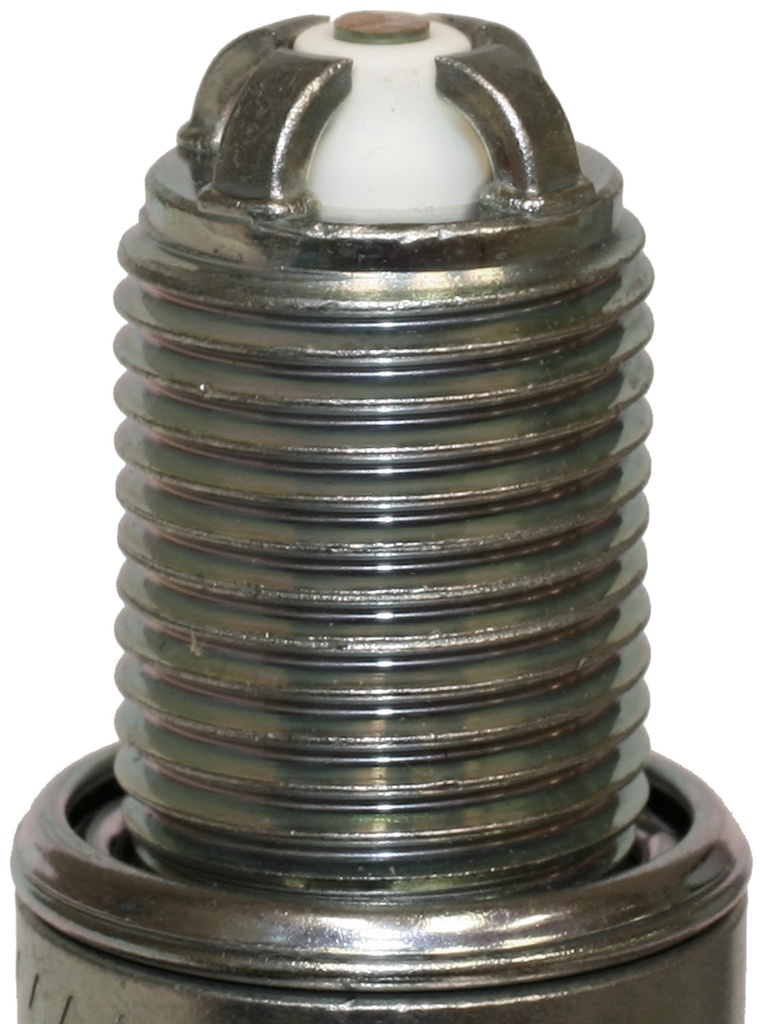 BKR6EQUA_03.jpg