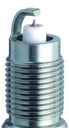 TR5-1GP_02.jpg