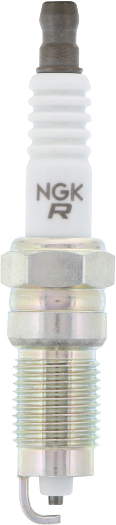 TR5-1_04.jpg