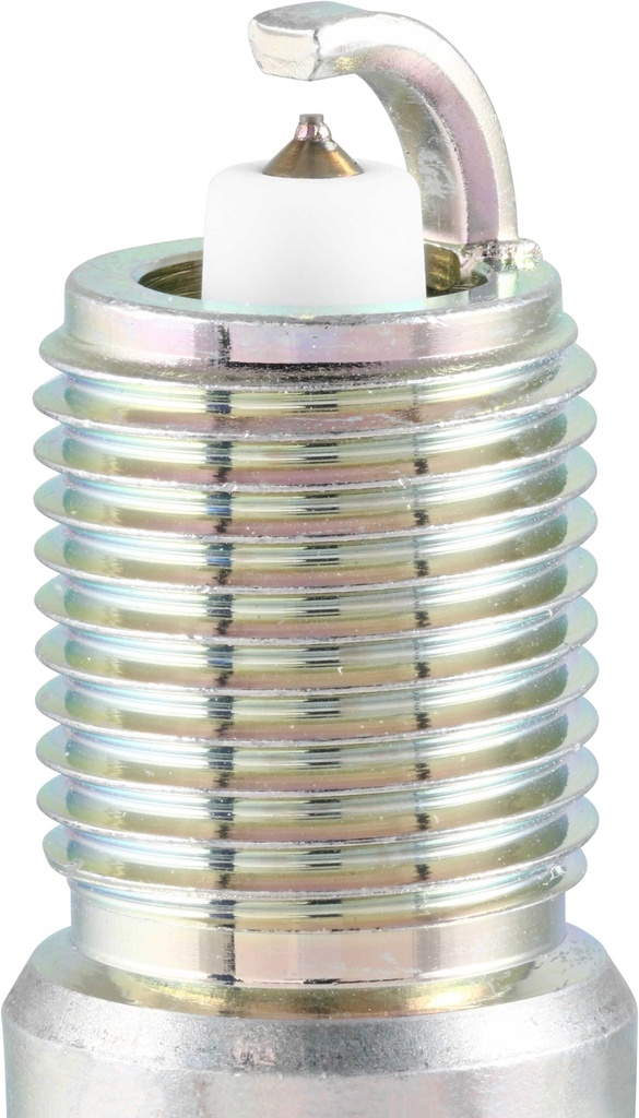 TR55GP_03.jpg