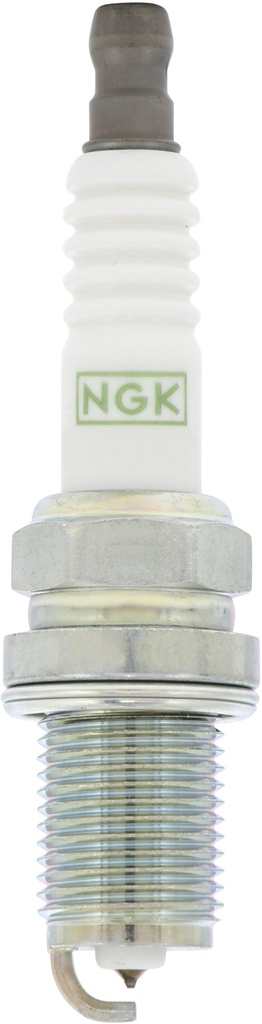 BKR6EGP_02.jpg