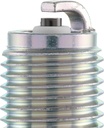 DR8EA_04.jpg