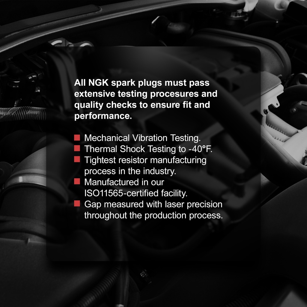 DILKAR7M8_02.jpg