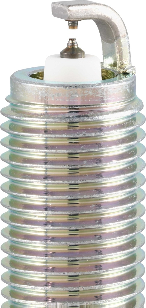 DILKAR7Q8_03.jpg