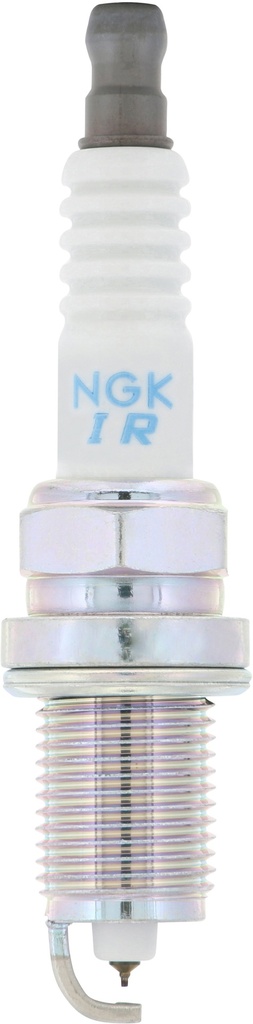 IZFR6F11_05.jpg