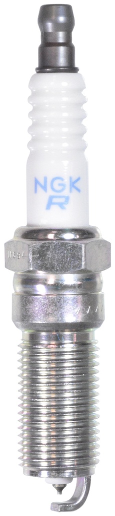 LTR6DP13_02.jpg