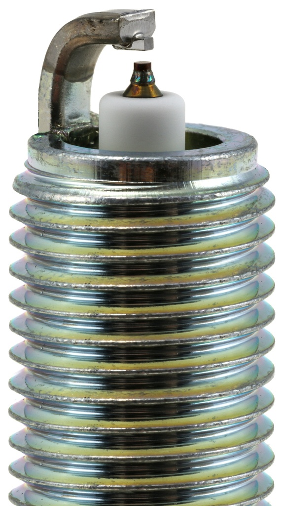 SILKFR8A6_02.jpg