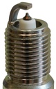 TR5BP12_02.jpg