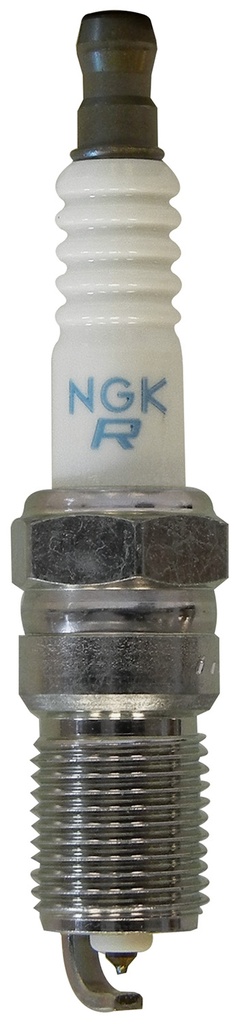 TR5BP12_05.jpg