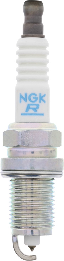 ZFR5AP_02.jpg