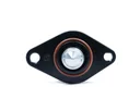 04926_d